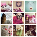 Instagram da Semana