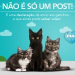 Campanha Castrar é um ato de amor – Max Cat